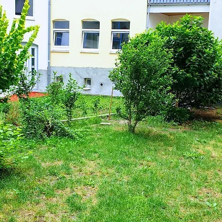 Daire In Center Halle With Shared Bathroom & Kitchen - Free Wifi & Ground Floor Halle (Saale)