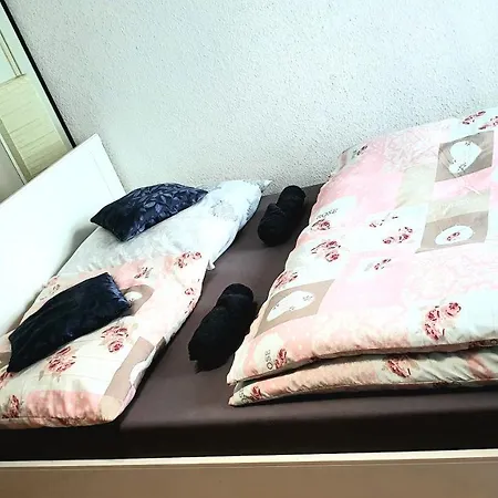 In Center Halle With Shared Bathroom & Kitchen - Free Wifi & Ground Floor *